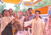 চাঁদপুরের মৎস্যজীবীদের বিকল্প জীবিকা সহায়তা দিল এমটিবিএফ