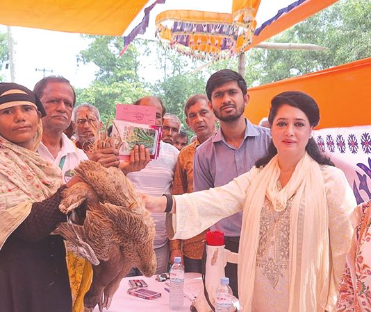 চাঁদপুরের মৎস্যজীবীদের বিকল্প জীবিকা সহায়তা দিল এমটিবিএফ